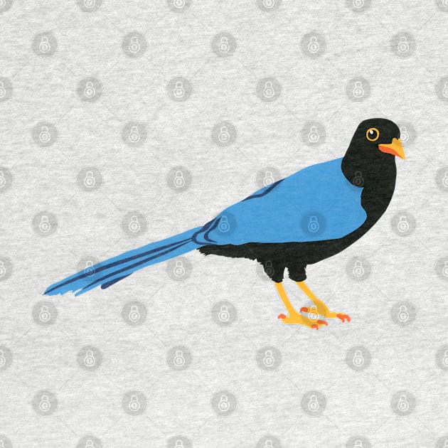 YUCATAN JAY Hand Cut Paper Bird Blue Black Yellow and Orange Crow by VegShop